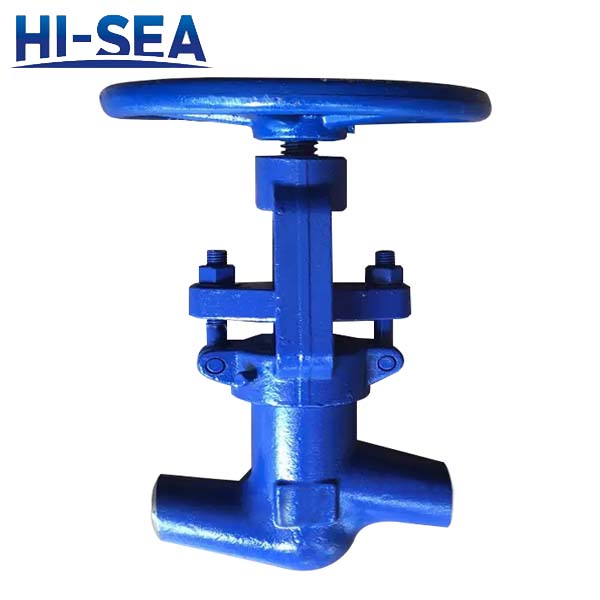 High Temperature Power Station Globe Valve