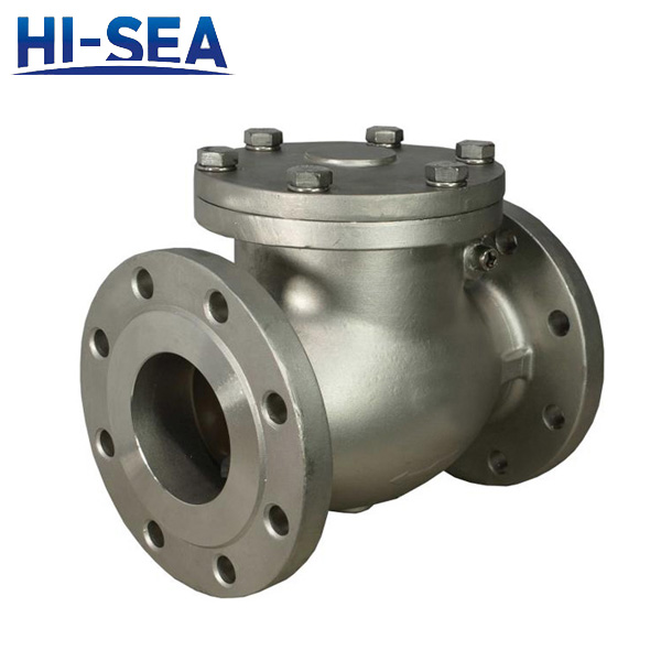 Natural Gas Special Check Valve