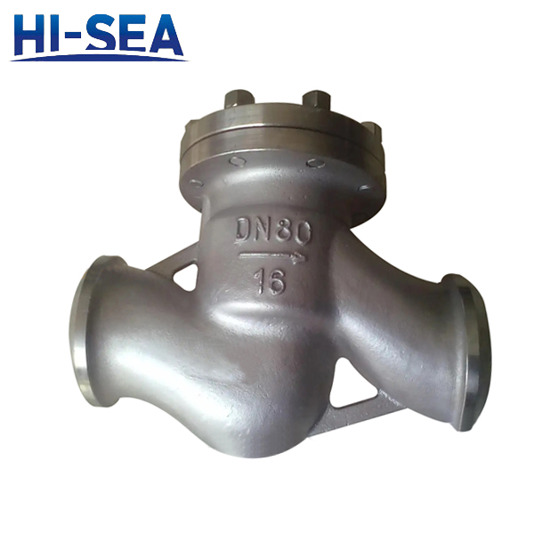 Hydrogenation Lift Check Valve