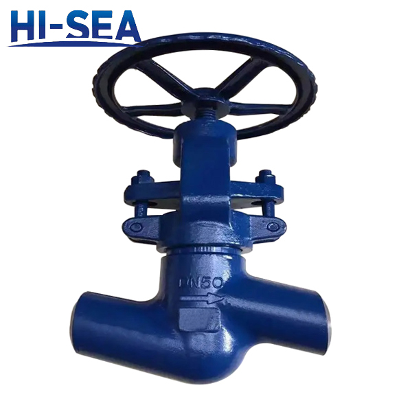 Power Station Globe Valve